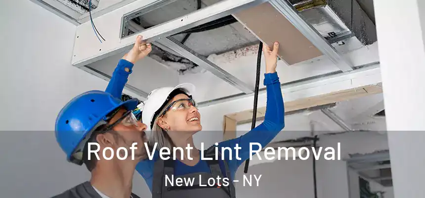 Roof Vent Lint Removal New Lots - NY
