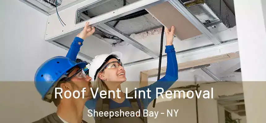 Roof Vent Lint Removal Sheepshead Bay - NY