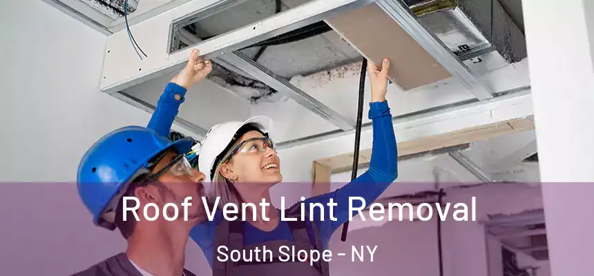  Roof Vent Lint Removal South Slope - NY