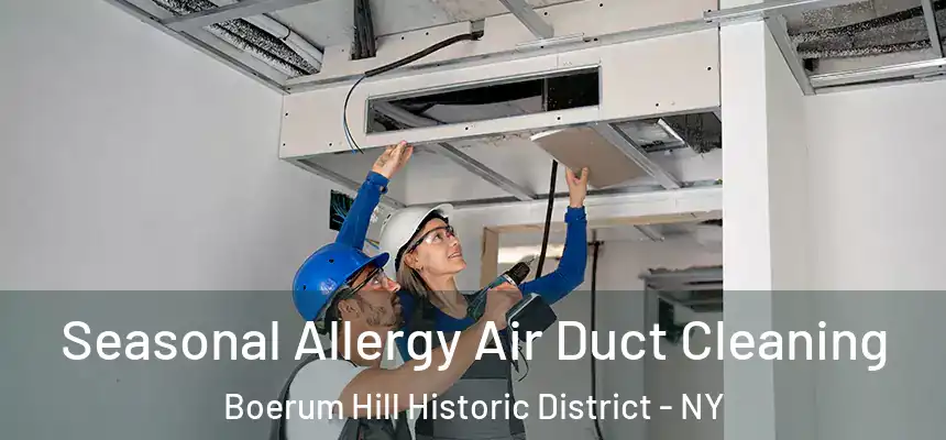 Seasonal Allergy Air Duct Cleaning Boerum Hill Historic District - NY