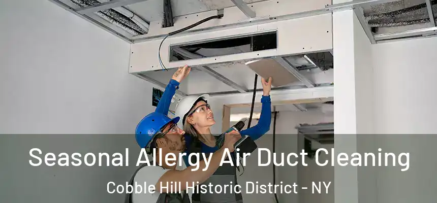 Seasonal Allergy Air Duct Cleaning Cobble Hill Historic District - NY
