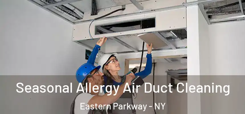 Seasonal Allergy Air Duct Cleaning Eastern Parkway - NY