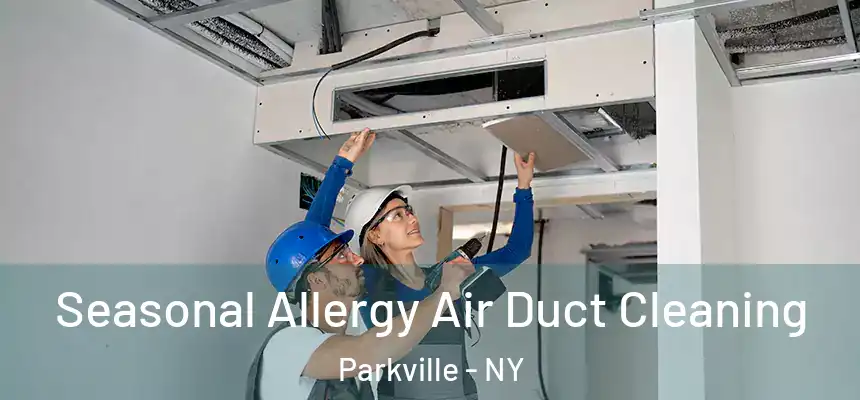 Seasonal Allergy Air Duct Cleaning Parkville - NY