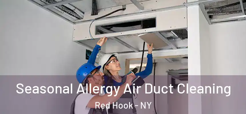 Seasonal Allergy Air Duct Cleaning Red Hook - NY