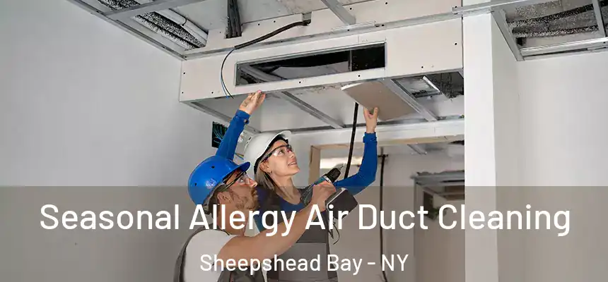Seasonal Allergy Air Duct Cleaning Sheepshead Bay - NY