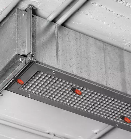 About Air Duct Cockroach Removal in East New York, NY