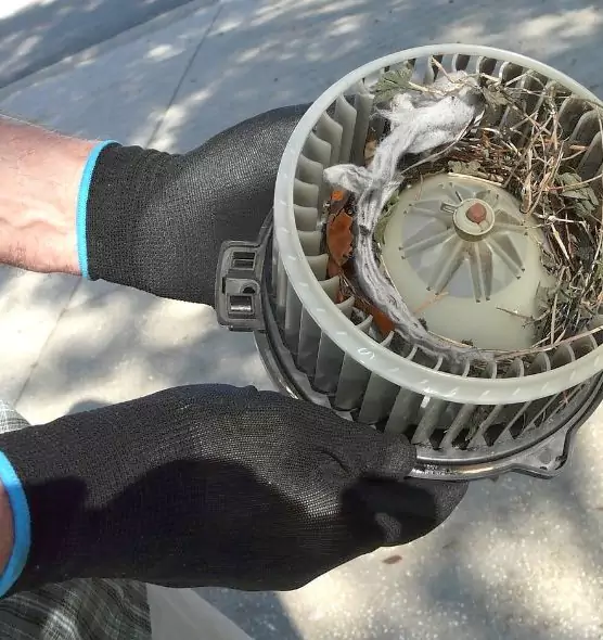 About Air Duct Mice Removal in Brooklyn, NY