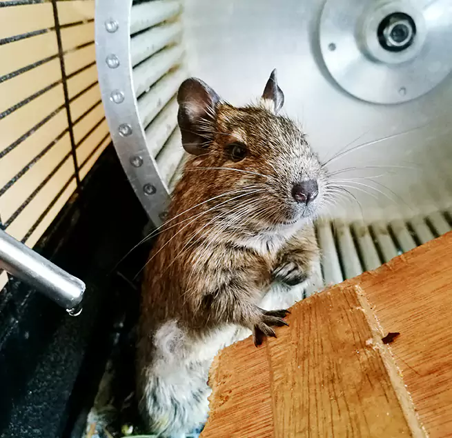 Why Homeowners & Businesses Trust Us Brooklyn, NY