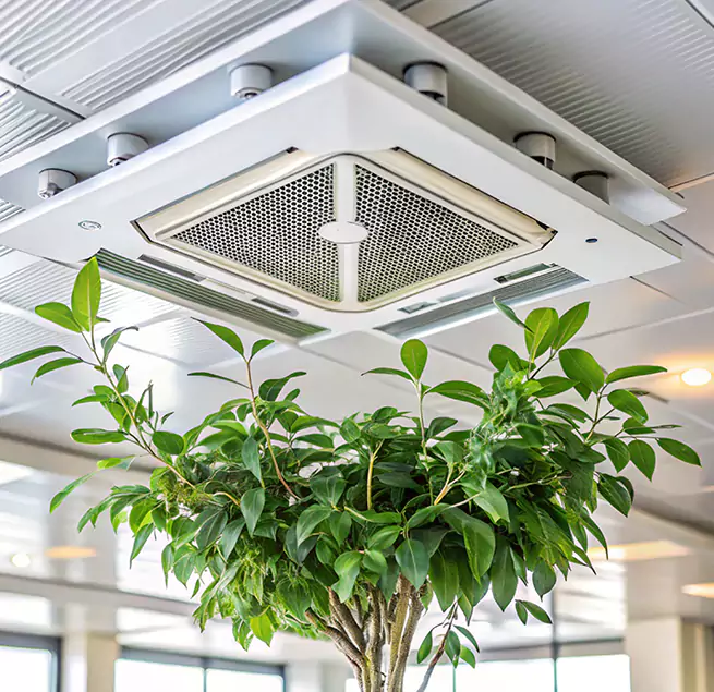 Why Homeowners & Businesses Trust Us in Brooklyn, NY?