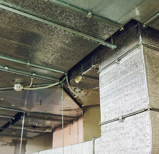 Why Homeowners & Businesses Trust Us in Brooklyn, NY?