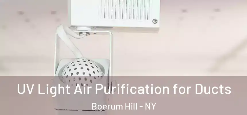 UV Light Air Purification for Ducts Boerum Hill - NY