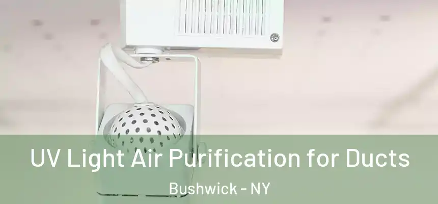 UV Light Air Purification for Ducts Bushwick - NY