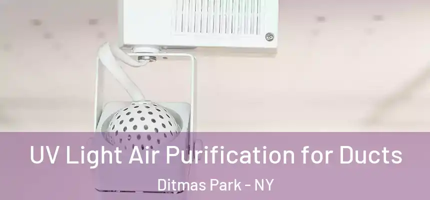 UV Light Air Purification for Ducts Ditmas Park - NY