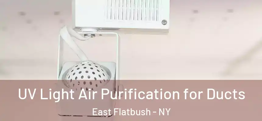  UV Light Air Purification for Ducts East Flatbush - NY