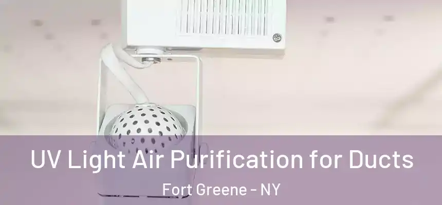 UV Light Air Purification for Ducts Fort Greene - NY