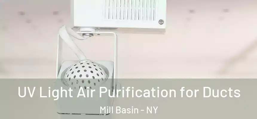 UV Light Air Purification for Ducts Mill Basin - NY