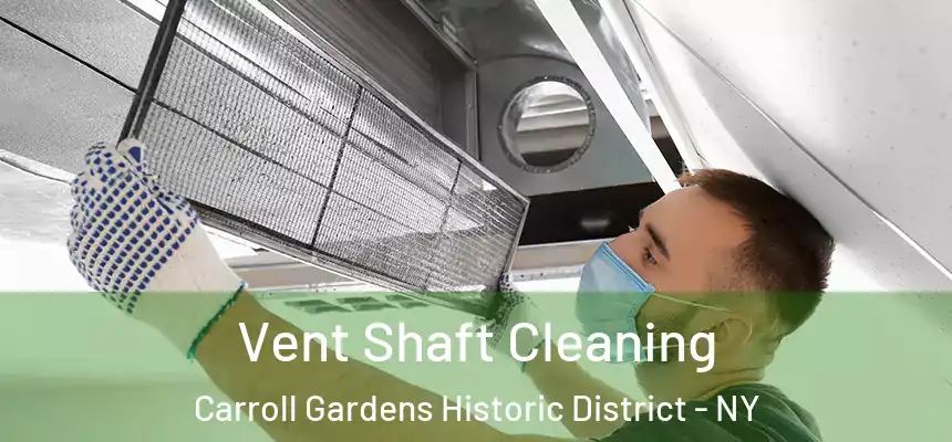 Vent Shaft Cleaning Carroll Gardens Historic District - NY