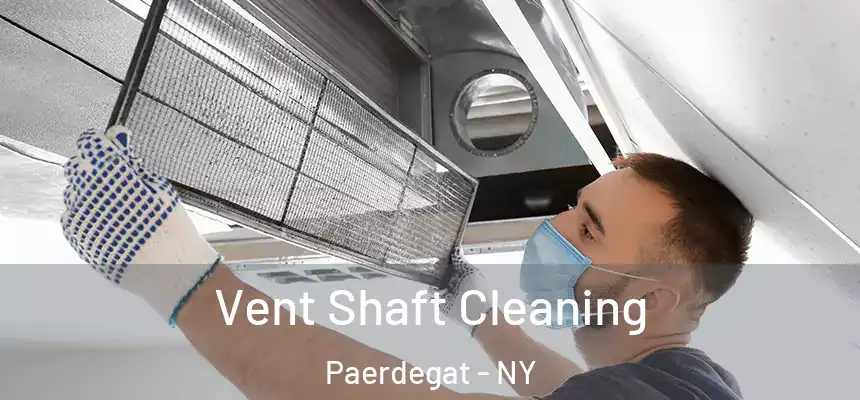 Vent Shaft Cleaning Paerdegat - NY