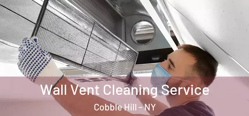 Wall Vent Cleaning Service Cobble Hill - NY